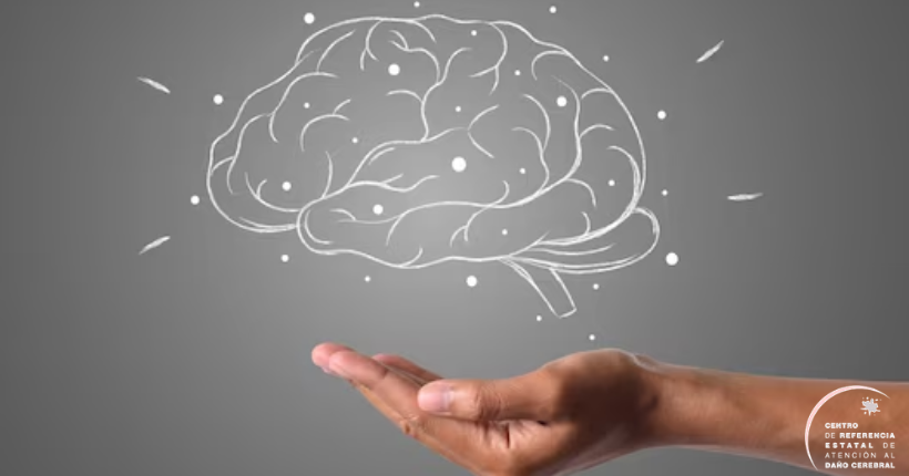 El rol del cerebelo en la cognición y la conducta humana