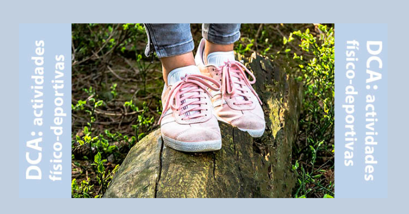 Juegos adaptados para Daño Cerebral Adquirido (DCA): Equilibrio