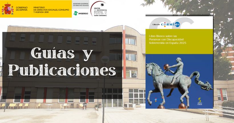 Libro blanco sobre las personas con discapacidad sobrevenida en España 2025